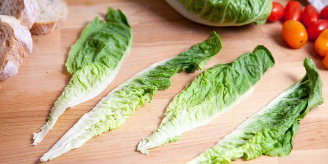 Рецепт шашлыка из куриной грудки под соусом цезарь