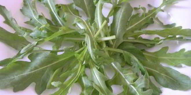 Рецепт цезаря с семгой на листьях руколы