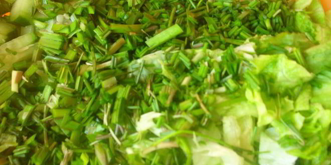 Рецепт салата весна