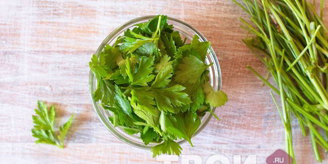 Рецепт соуса из петрушки