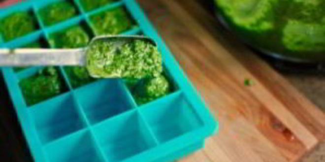 Рецепт песто из базилика