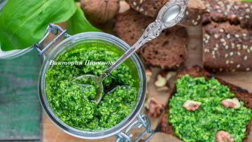 Рецепт Песто из черемши с грецким орехом