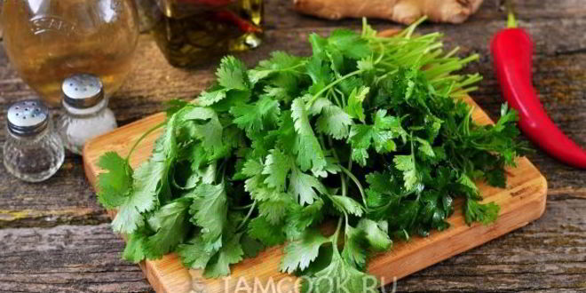 Рецепт песто из кинзы