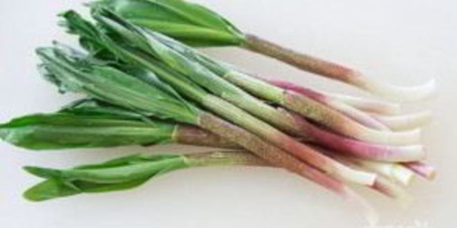 Рецепт соуса песто из черемши