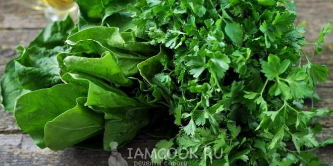 Рецепт соуса песто из первой зелени