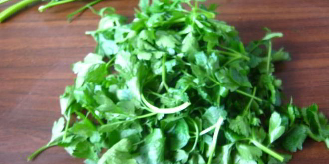 Рецепт соуса песто из петрушки