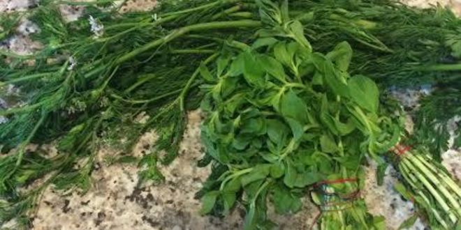 Рецепт соуса ткемали