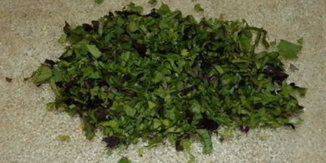 Рецепт соуса томатного ароматного