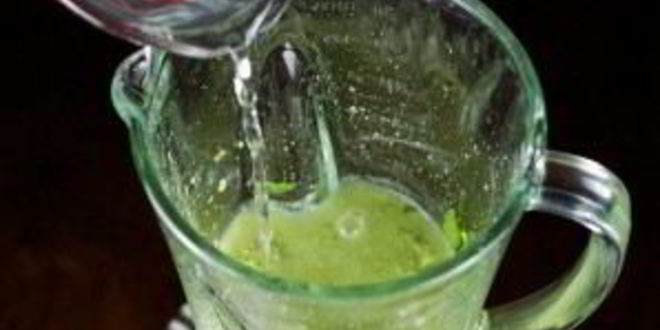 Рецепт зеленого соуса из авокадо