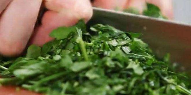 Рецепт борща с пампушками