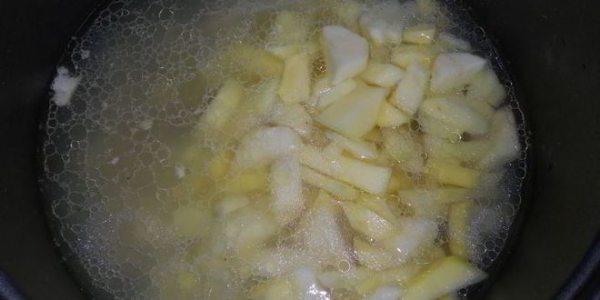 Рецепт борща со свининой на утином жире в мультиварке