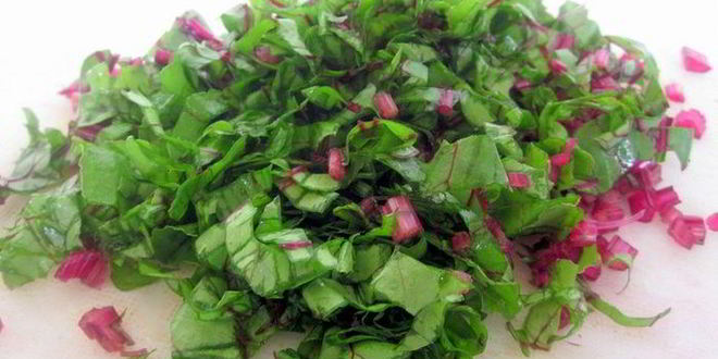 Рецепт борща свекольного