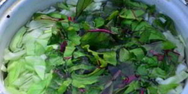 Рецепт борща в казане на костре