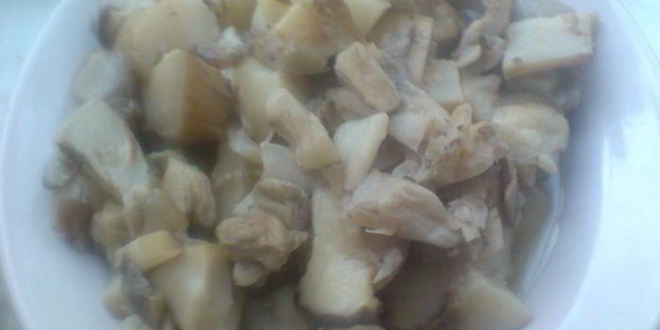 Рецепт борща вегетарианского с грибами