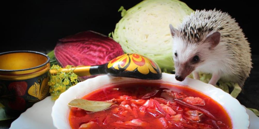 Как приготовить борщ