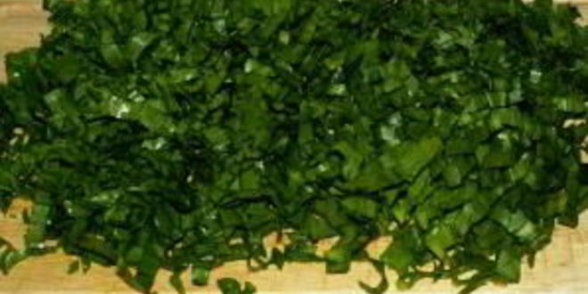 Рецепт вкусного зеленого борща со щавелем