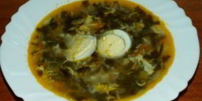 Рецепт вкусного зеленого борща со щавелем