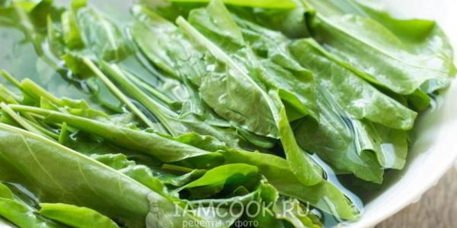 Рецепт зеленого борща без мяса