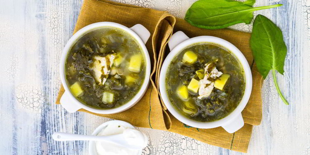 Как приготовить зеленый борщ с щавелем