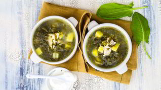 Рецепт Зеленого борща с щавелем