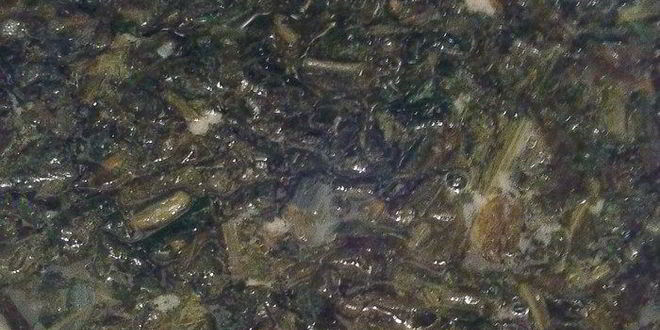 Рецепт зеленого борща улыбка лета