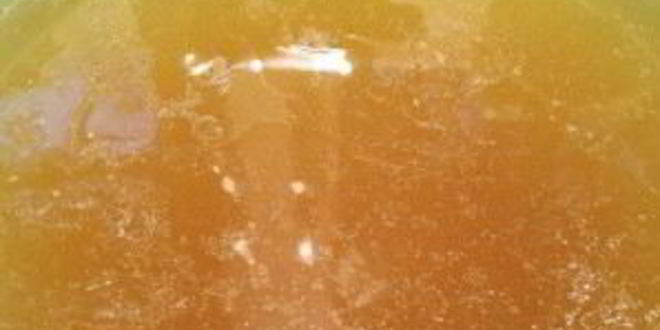 Рецепт бульона из куриных лапок