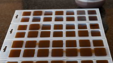 Рецепт Бульона замороженного