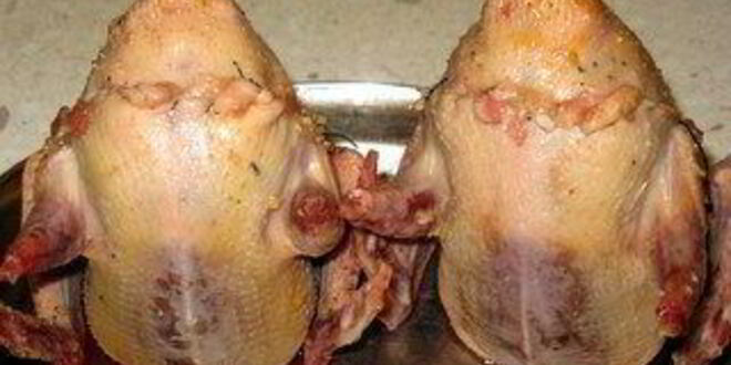 Рецепт каппеллетти в бульоне и фаршированные голуби