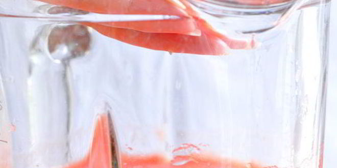 Рецепт холодного томатного супа гаспачо