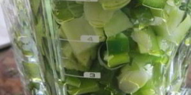 Рецепт зеленого гаспачо для сыроедов