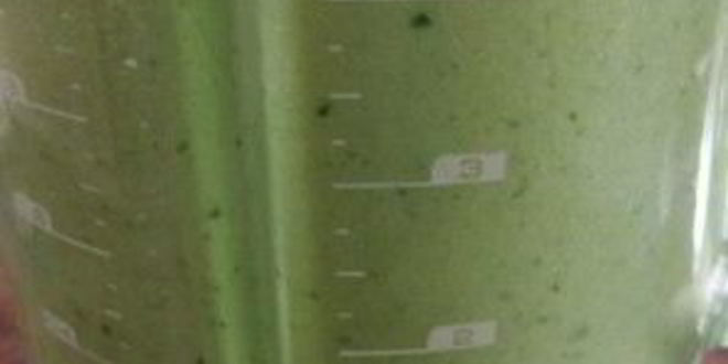 Рецепт зеленого гаспачо для сыроедов