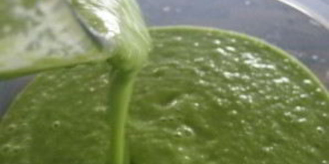 Рецепт зеленого гаспачо для сыроедов