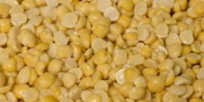 Рецепт французского горохового супа