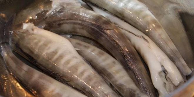 Рецепт холодного рыбного супа