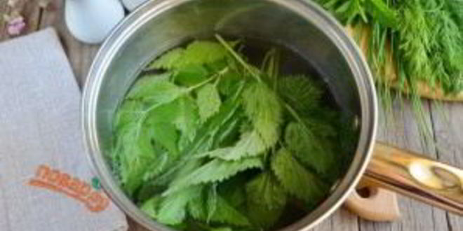 Рецепт окрошки на кефире с крапивой и мятой