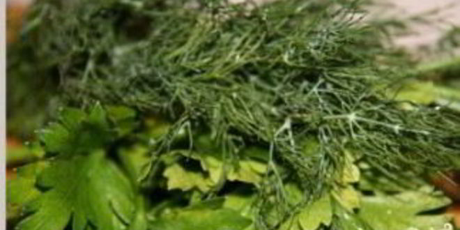 Рецепт окрошки с квасом и кефиром