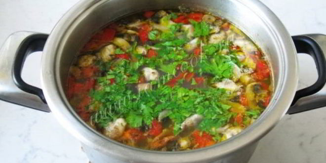 Рецепт овощного супа с грибами