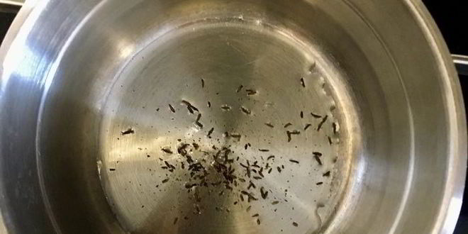 Рецепт рыбного супа-лапши с овощами