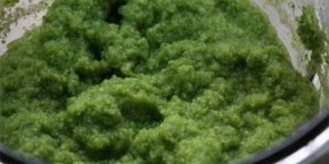 Рецепт супа овощной с брокколи