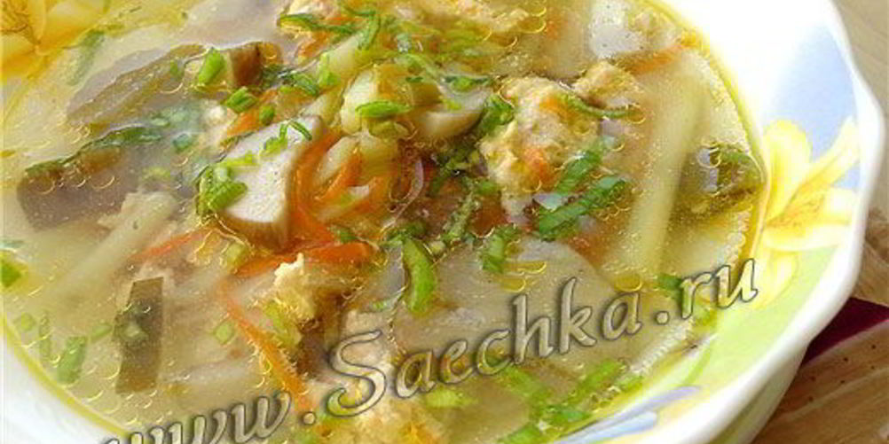 Как приготовить похлебку грибную на мясном бульоне