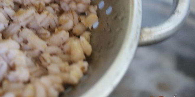 Рецепт рассольника с маслятами и ветчиной