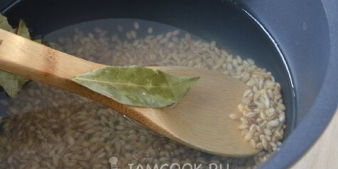 Рецепт вегетарианского рассольника с сушеными грибами