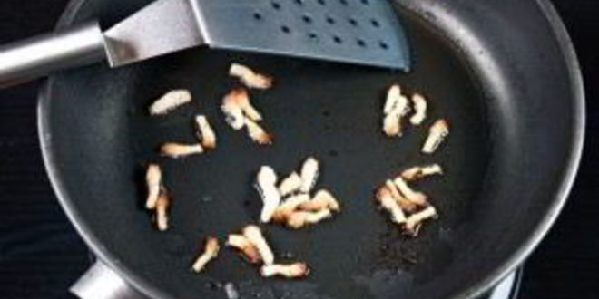 Рецепт кислых щей из утки