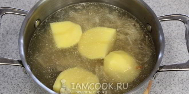 Рецепт щей из кислой капусты со свининой