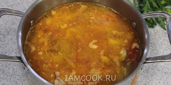 Рецепт щей из кислой капусты со свининой