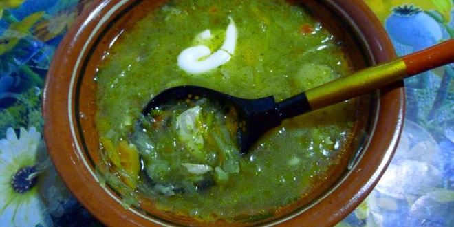 Рецепт щей из кислой квашеной капусты с грибами