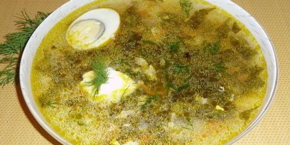 Как приготовить щи из консервированного щавеля