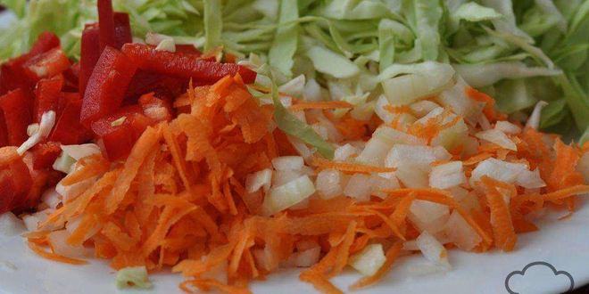 Рецепт щей из курицы со свежей капустой