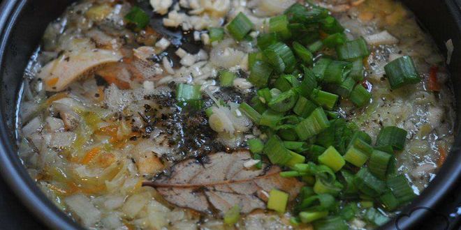 Рецепт щей из курицы со свежей капустой