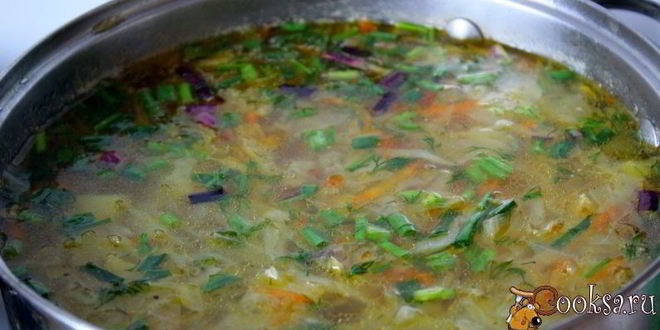 Рецепт щей из молодой капусты на курином бульоне